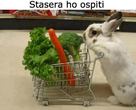 Immagine Divertente - 07/05/2013