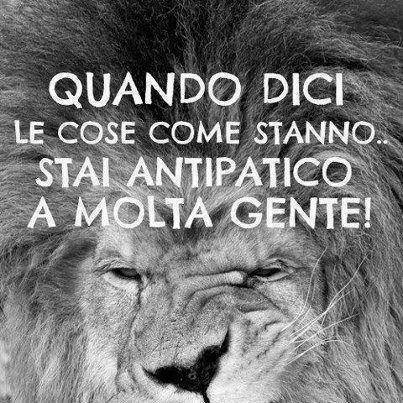 Immagine Divertente - 21/07/2013