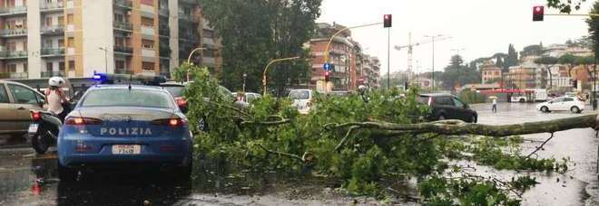 FLASH STORM A ROMA: CADE UN ALBERO, TRAFFICO IL TILT. CROLLA UN TABELLONE AL CENTRO COMMERCIALE, 4 FERITI - VIDEO - 19/07/2013