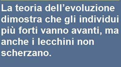 Immagine Divertente - 03/08/2013