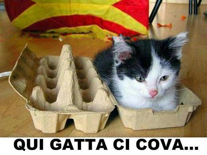 NUN FA 'NA PIEGA !! - 10/09/2012