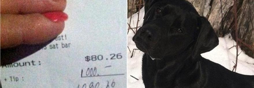 LASCIANO MANCIA DI 1.000 $ ALLA CAMERIERA: ''VOGLIAMO AIUTARE IL SUO CANE MALATO'' - 28/05/2014