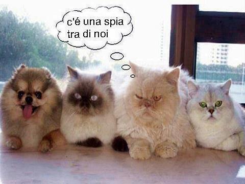CHI PO ESSE ?! - 16/09/2012