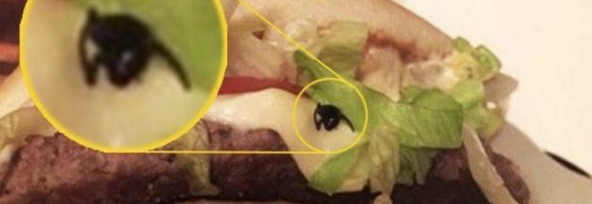 VA AL MCDONALD'S E ORDINA UN BIG TASTY: MA DENTRO IL PANINO C'E' UNA SORPRESA - FOTO - 28/12/2014