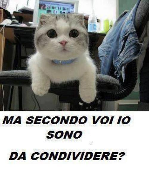 CHI C'HA ER CORAGGIO DE DI DE NO ?! - 18/09/2012