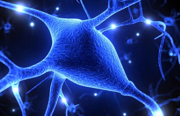 SCLEROSI MULTIPLA E LE STAMINALI: ECCO IL TRATTAMENTO SPECIALE - 28/04/2015