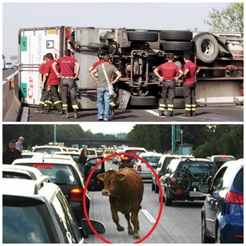 ULTIM'ORA: ROMA, AUTOSTRADA A1 IN TILT - ECCO COS'E' SUCCESSO - 21/05/2015