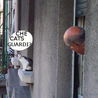 Vignetta Divertente - 30/09/2012