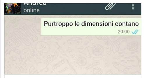 SMS - LEI GLI SCRIVE: ''PURTROPPO LE DIMENZIONI CONTANO'' LA RISPOSTA DEL RAGAZZO E' EPICA - 05/06/2015