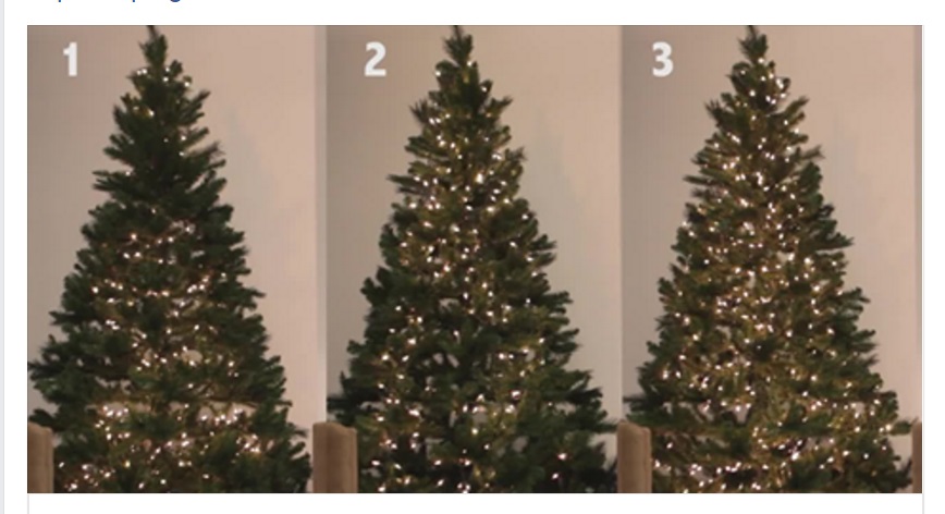 ECCO IL TRUCCO PERFETTO PER METTERE LE LUCI DI NATALE SULL'ALBERO - 04/12/2015