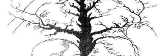 QUANTE FACCE VEDETE NEL DISEGNO? L'ILLUSIONE OTTICA FA IMPAZZIRE IL WEB - PROVA - 25/01/2016