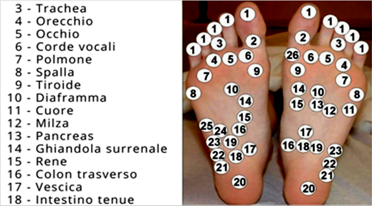 I 14 ESSENZIALI MOTIVI PER MASSAGGIARE QUESTI PUNTI DEL PIEDE PRIMA DI DORMIRE - GUARDA - 04/01/2016