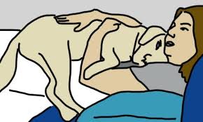 IL TUO CANE HAI MAI FATTO QUESTO CON TE? LA RISPOSTA RIVELA QUALCOSA DI INCREDIBILE - 27/01/2016