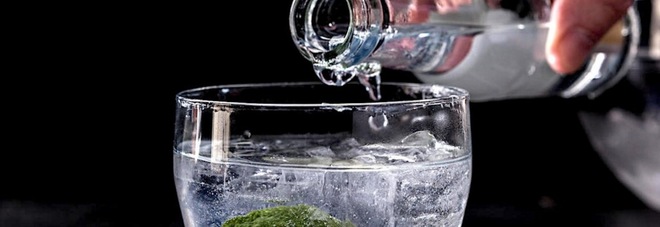 SE TI PIACE IL GIN TONIC PROBABILMENTE SEI UNO PSICOPATICO: LO STUDIO LO DIMOSTRA - 08/09/2016