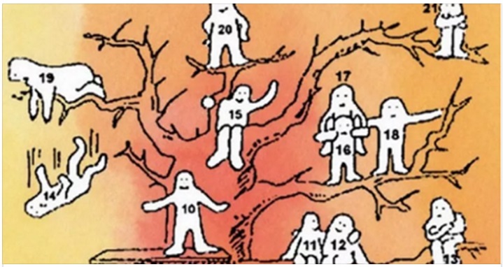 TEST DEL FAMOSO PSICOLOGO: SCEGLIETE UNA PERSONA DA QUESTO ALBERO E SCOPRITE IL VOSTRO STATO EMOTIVO - 25/02/2017