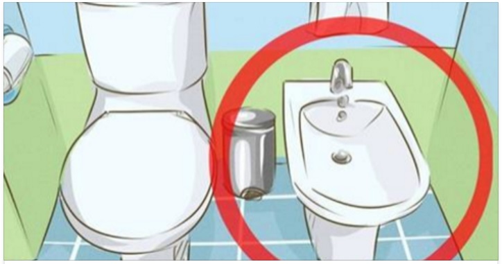 SAPETE PER QUALE MOTIVO NEGLI ALTRI PAESI NON SI UTILIZZA IL BIDET? LA RISPOSTA VI LASCERA' SENZA PAROLE - 01/03/2017