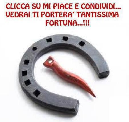 Immagine Divertente - 22/01/2013