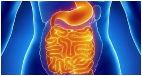 POTRESTI AVERE 15KG DI MUCO NELL'INTESTINO ACCUMULATO NEGLI ANNI: ECCO COME ELIMINARLO PER STARE MEGLIO E IN FORMA - 06/04/2017