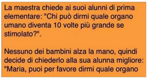 L'INSEGNANTE CHIEDE AI SUOI ALUNNI DI PRIMA ELEMENTARE: ''QUALE ORGANO UMANO DIVENTA 10 VOLTE PIU' GRANDE SE STIMOLATO?'' - 19/04/2017