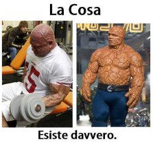 Immagine Divertente - 12/02/2013