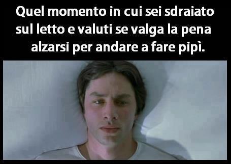 Immagine Divertente - 12/02/2013