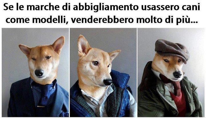 Immagine Divertente - 10/03/2013