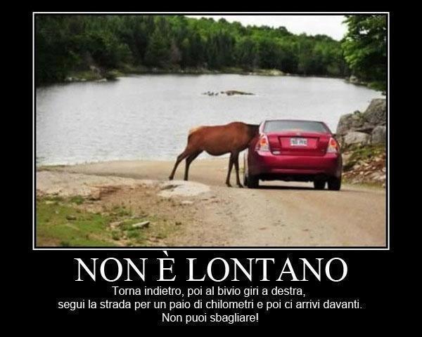 Immagine Divertente - 10/03/2013