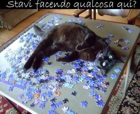 Immagine Divertente - 10/03/2013