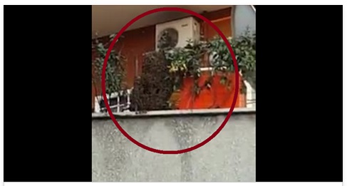 PAURA A ROMA, LA PERICOLOSA SCOPERTA FUORI IL BALCONE - 17/05/2017
