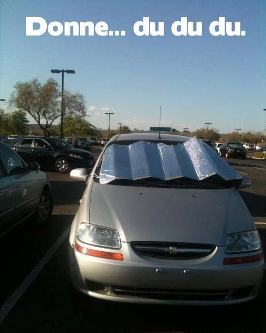 Immagine Divertente - 10/03/2013