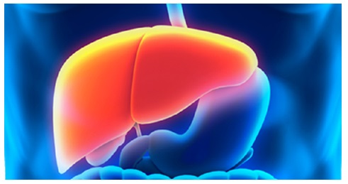 LA FRUTTA A FINE PASTO FA INGRASSARE E FA MALE: L'ESPERTO ''ECCO QUALI DA EVITARE ASSOLUTAMENTE'' - 13/06/2017