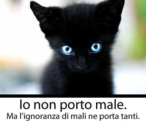 Immagine Divertente - 26/04/2013