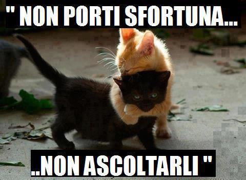 Immagine Divertente - 03/05/2013