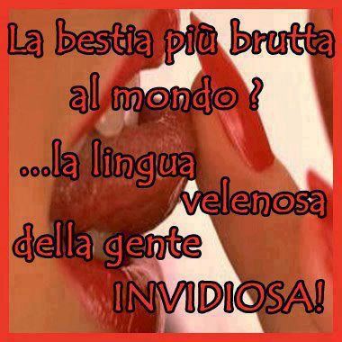 Immagine Divertente - 08/05/2013