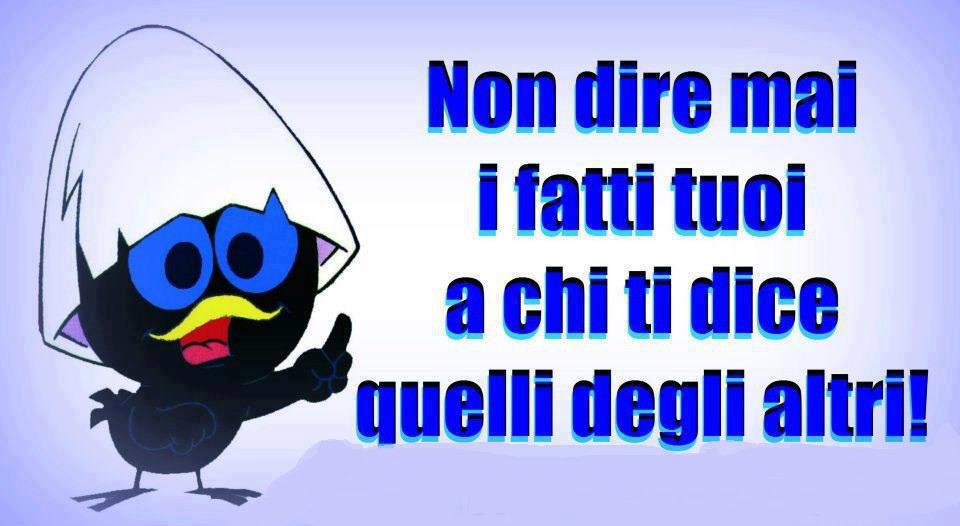 SEGUI 'STO CONSIJO ... - 08/05/2013