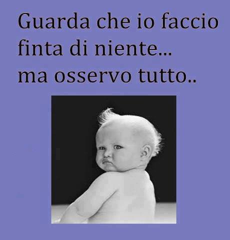 Immagine Divertente - 05/07/2013