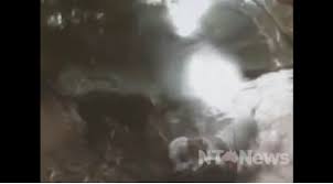 IL COCCODRILLO DIVORA IL CANE IN UN SOLO BOCCONE: IL VIDEO CHOC - GUARDA - 09/07/2013