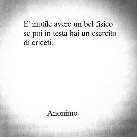 Immagine Divertente - 03/08/2013