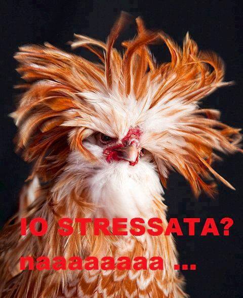 Immagine Divertente - 07/09/2013