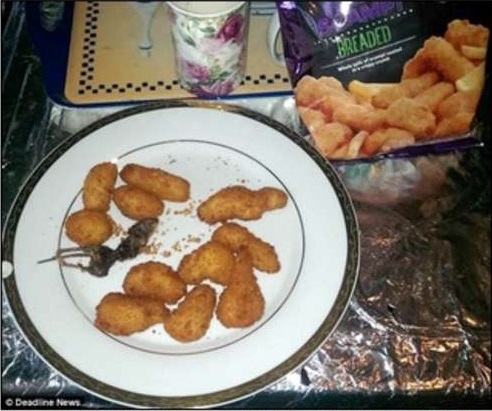 UN TOPO MORTO TRA GLI SCAMPI SURGELATI. ''HO INIZIATO A MANGIARLI, POI LA SORPRESA'' - FOTO - 30/11/2013