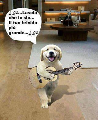 Vignetta Divertente - 30/11/2013