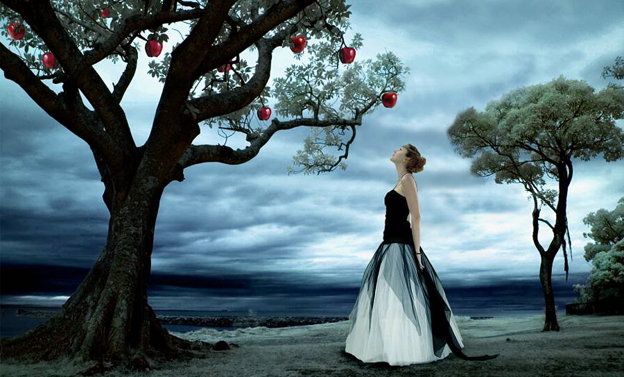 LE DONNE SONO COME LE MELE SULL'ALBERO... - 10/12/2013