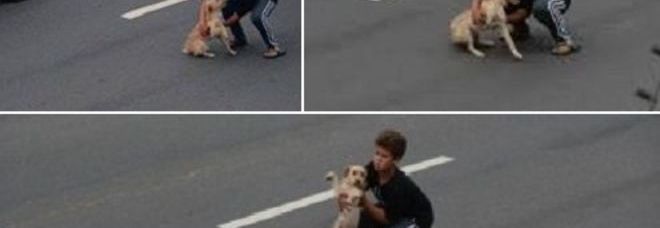 EROE A 11 ANNI: METTE A RISCHIO LA VITA PER SALVARE UN CAGNOLINO IN AUTOSTRADA - 20/12/2013