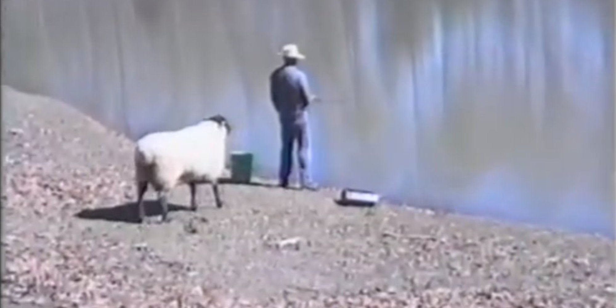 BISOGNA GUARDARSI SEMPRE LE SPALLE, NON CREDERETE AI VOSTRI OCCHI - VIDEO - 23/07/2014