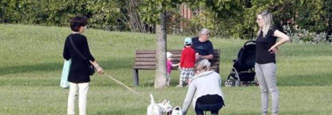 BIMBO DI 4 ANNI PUNTO DA UNA SIRINGA  INFETTA NEL PARCO: L'ANSIA DELLA FAMIGLIA - 16/09/2014