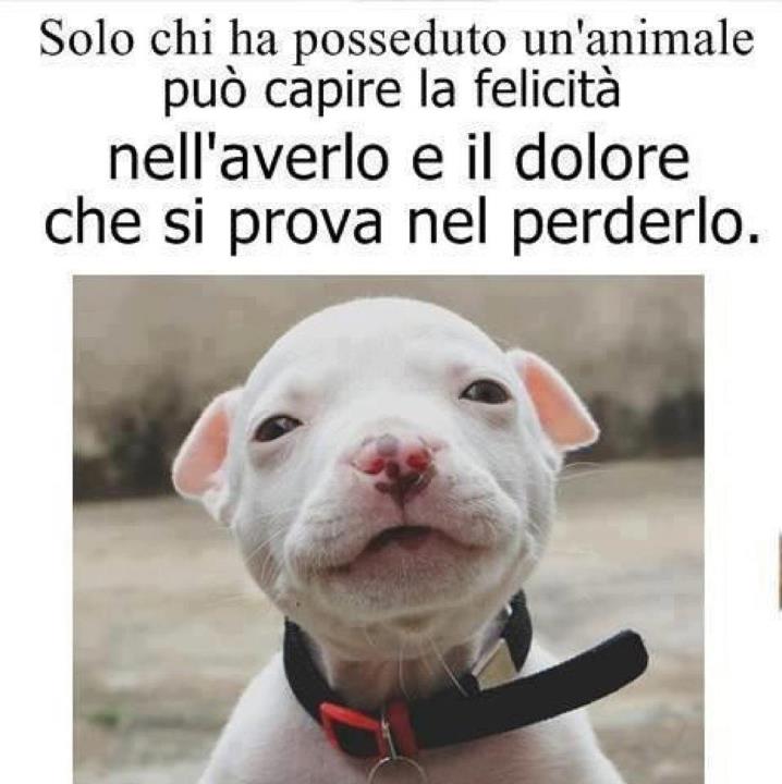 CERTE COSE NUN SE PONNO SPIEGA' !! - 18/09/2012