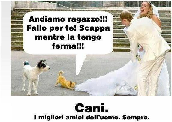 ER MIJORE AMICO... - 10/07/2012