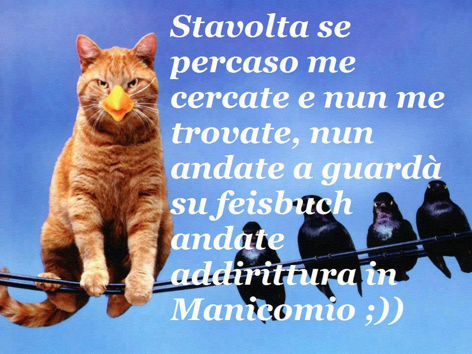 Immagine Divertente - 28/11/2012