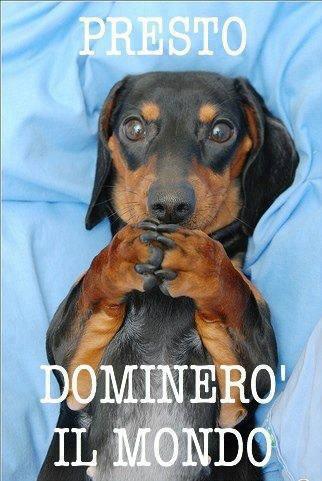 SO' SICURO !! - 02/10/2012