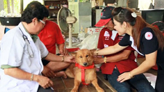 LA STORIA DEL CANE EROE: TROVA NEONATA NELLA DISCARICA E LA PORTA FINO A CASA - FOTO ALL'INTERNO - 08/03/2014